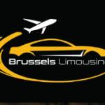 Brussels Limousine Profile Picture