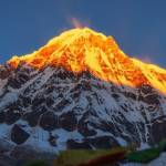 Sherpa Expedition and Trekking Profile Picture