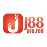 J 88 profile picture