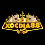 XOCDIA88 training Profile Picture