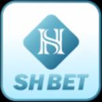 shbet998com1 Profile Picture