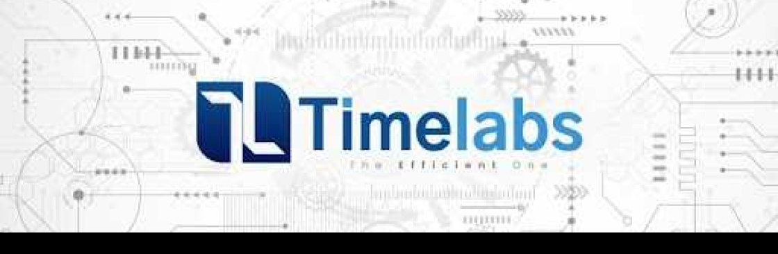 Timelabs Cover Image