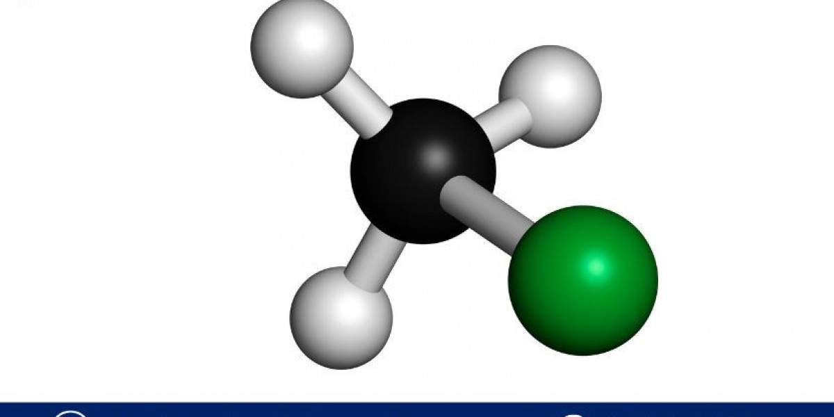 Methyl Vinyl Ether Manufacturing Plant Project Report 2025: Detailed Setup, Machinery, and Market Insights