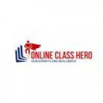 Online Class Hero Profile Picture