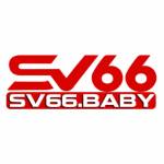 sv66baby Profile Picture