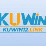 kuwin link Profile Picture