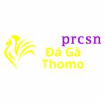 Đá Gà Trực Tiếp Thomo Profile Picture