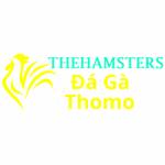 Đá Gà Trực Tiếp Thomo Profile Picture