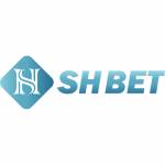 shbet shbet Profile Picture