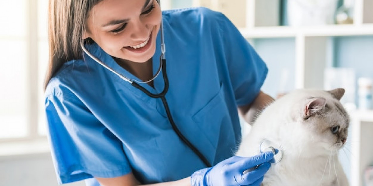 Comprehensive Veterinary Care in Qatar: Finding the Best Clinic for Your Pet