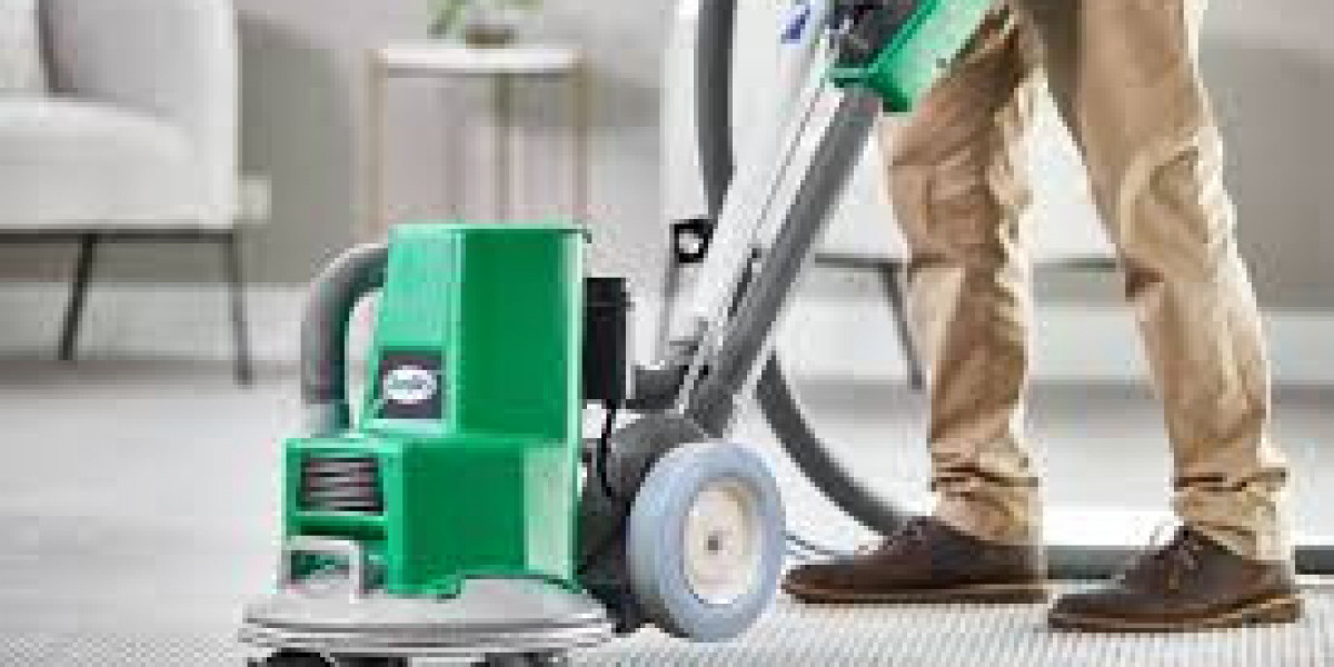 Why Professional Carpet Cleaning Services Are a Must for All Homes