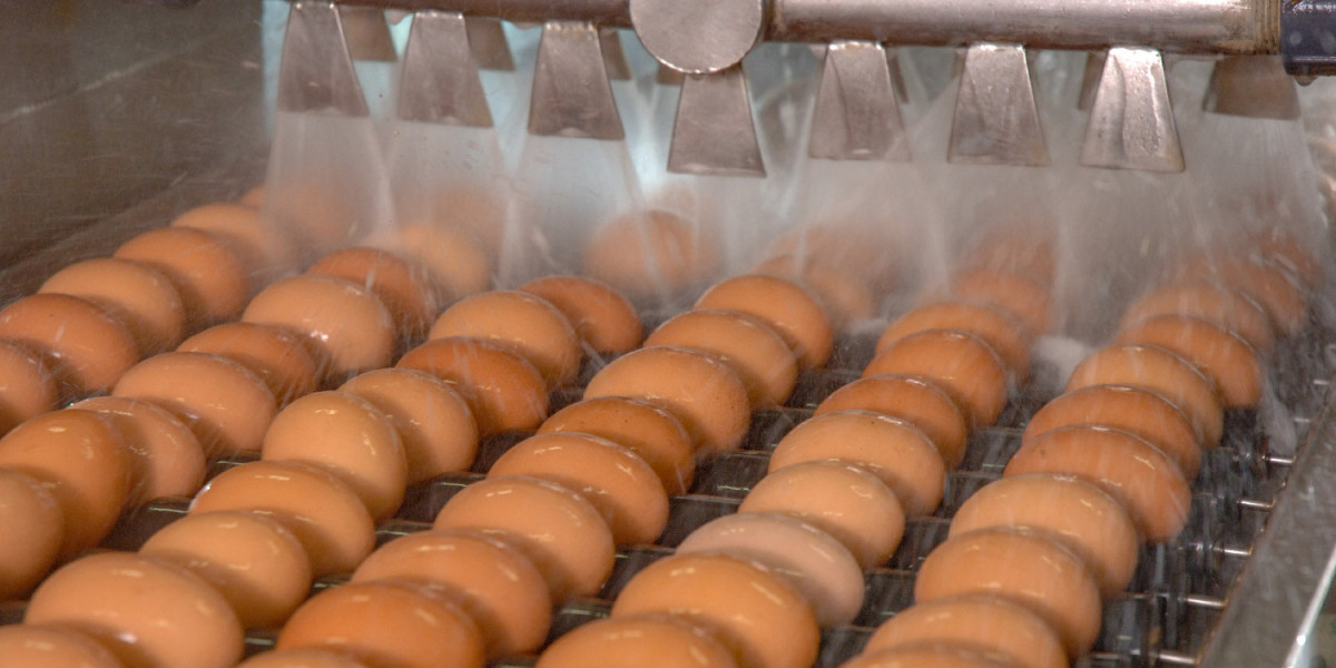 Egg Wash Alternative Market Disruptions: A New Era in Baking and Culinary Innovation