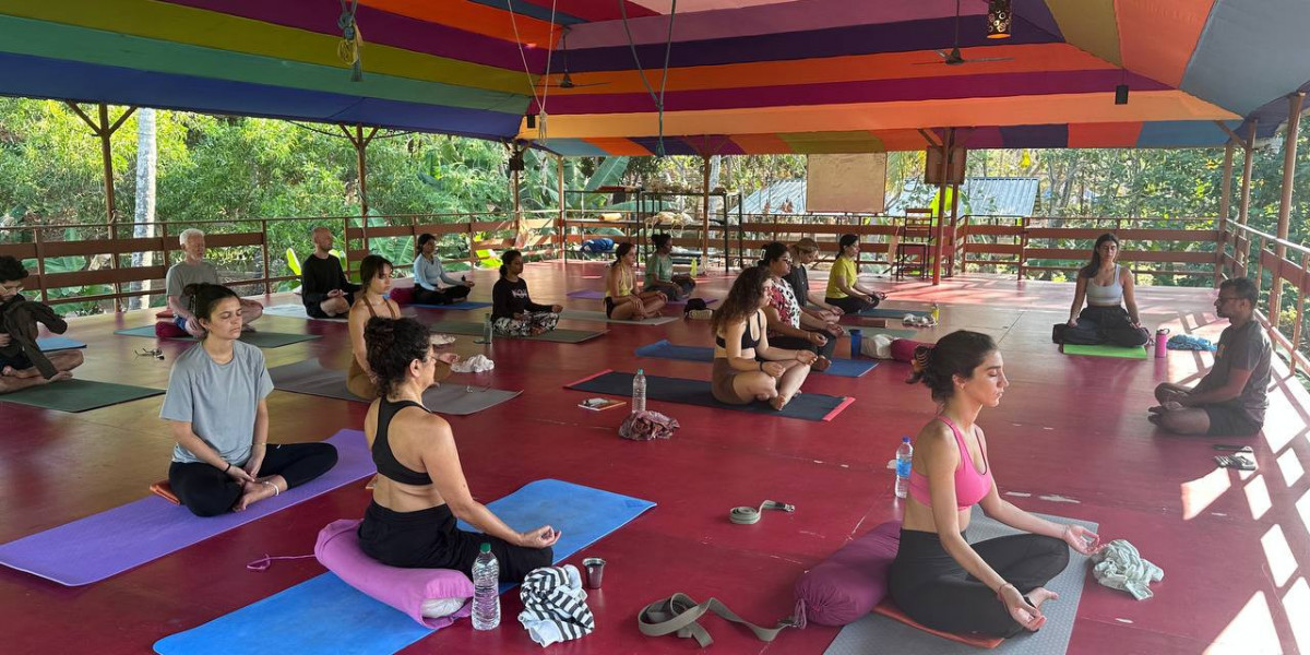 300-Hour Yoga Teacher Training Course in Kerala: A Transformative Journey for Yoga Enthusiasts