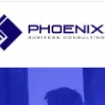 phoenix team Profile Picture