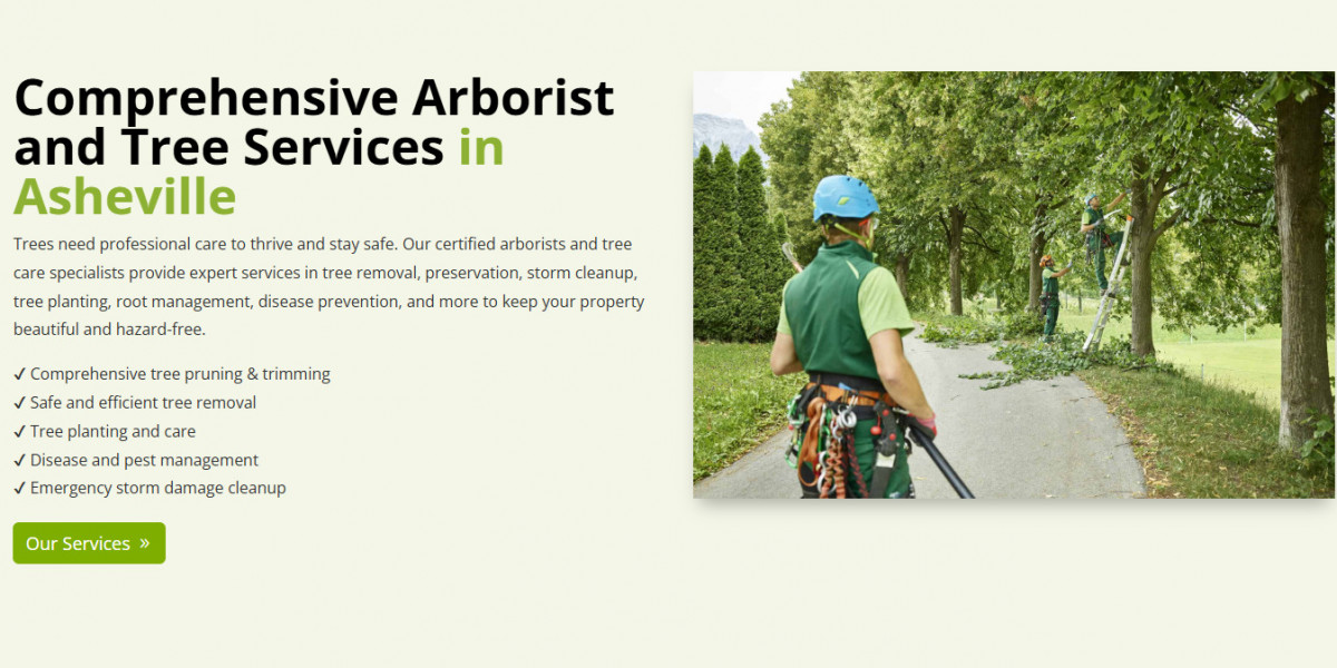 Expert Tree Care in Asheville: Precision Arborcare for Healthy, Safe Landscapes