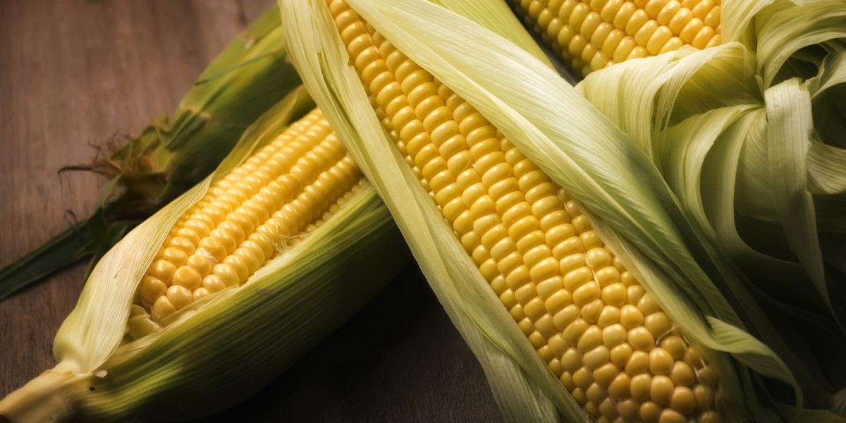 Corn Flour Market: Innovations in Packaging and Sustainability