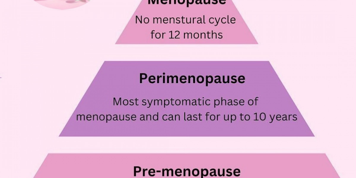 Menopause: A Journey to Empowerment with MenoPaused™