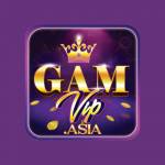 Gamvip Asia Profile Picture