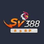 Sv388 Ph Profile Picture