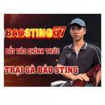 Baosting Profile Picture