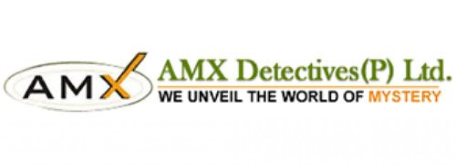 AMX DETECTIVE Cover Image