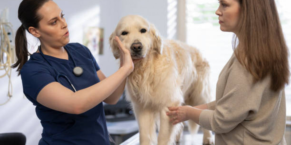 A Healthier Tomorrow for Your Pet: Explore Our Services