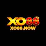 XO88 Casino Profile Picture