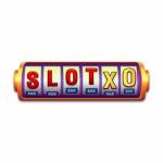 Slo Txo Profile Picture