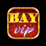 bayvip us profile picture