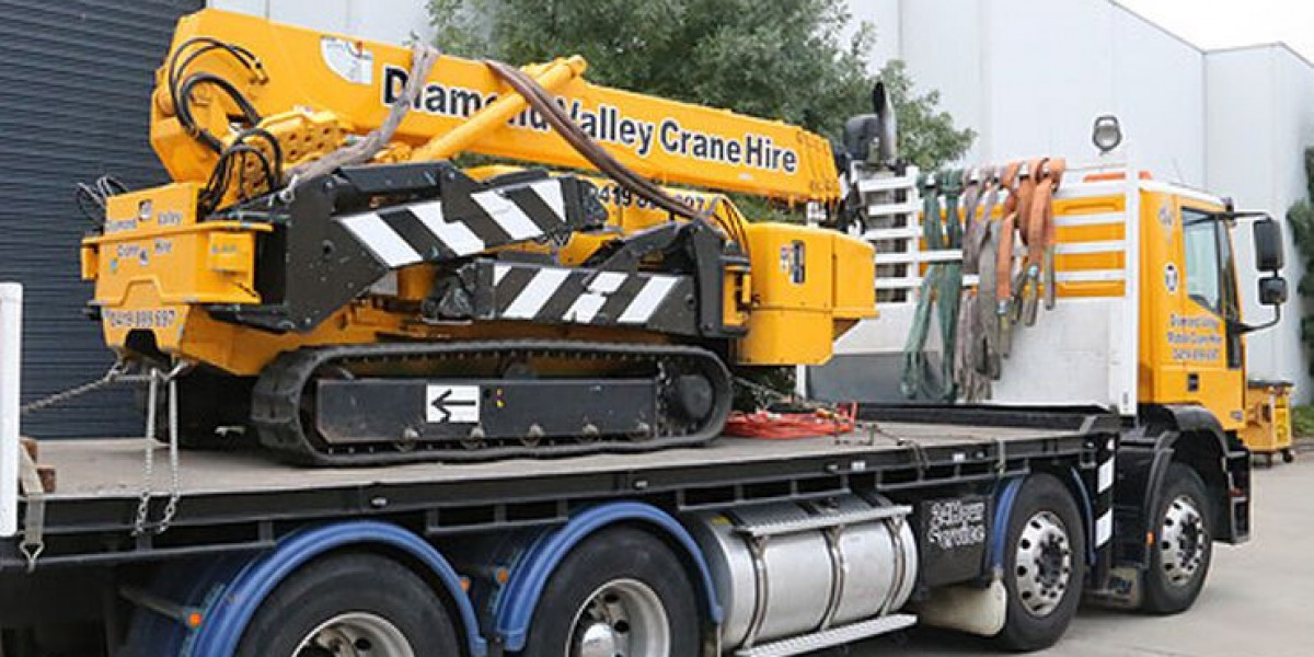 Top Crane Rental Companies for Your Next Project