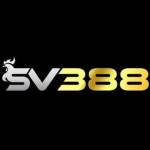 SV388 com Profile Picture