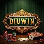 diuwinapp Profile Picture