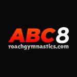 Abc8com casa Profile Picture