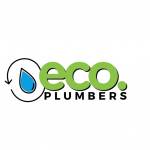 EcoPlumbers24/7 Profile Picture