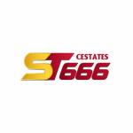 ST666 cestates Profile Picture