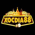 xocdia88 black Profile Picture