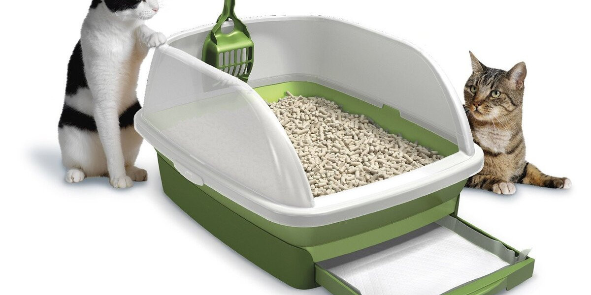 Cat Litter Market Impact of COVID-19: Disruptions and Recovery