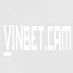 vinbetcam1 profile picture