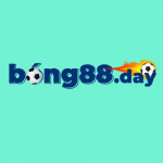 bong88day Profile Picture