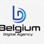 Belgium Digital Agency Profile Picture