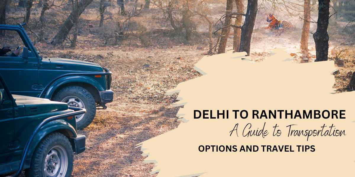 Your Delhi to Ranthambore Safari: A Comprehensive Travel Guide