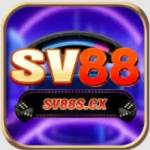 SV88 profile picture