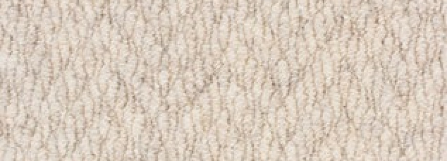 Carpets Online Cover Image