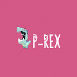 P REX Hobby Profile Picture