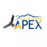 apex locklocksmith profile picture