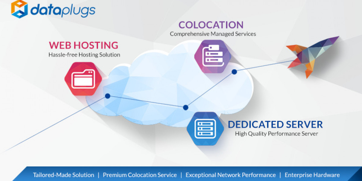 24x7 Technical Support: The Backbone of Dataplugs’ Services