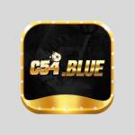 c54blue1 Profile Picture