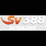 SV388 Profile Picture