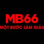 mb66 Profile Picture