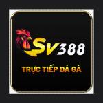 sv388casa Profile Picture